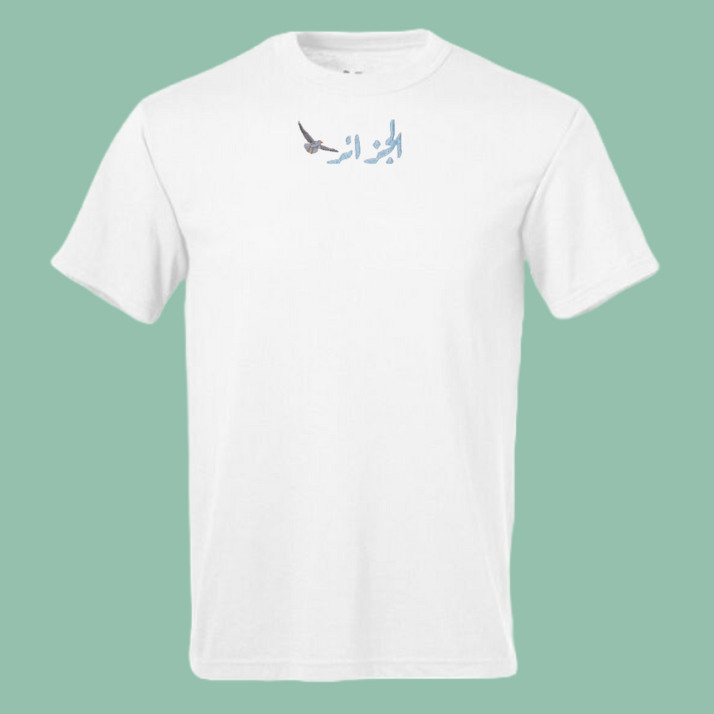 Dzayer Oversized T-shirt